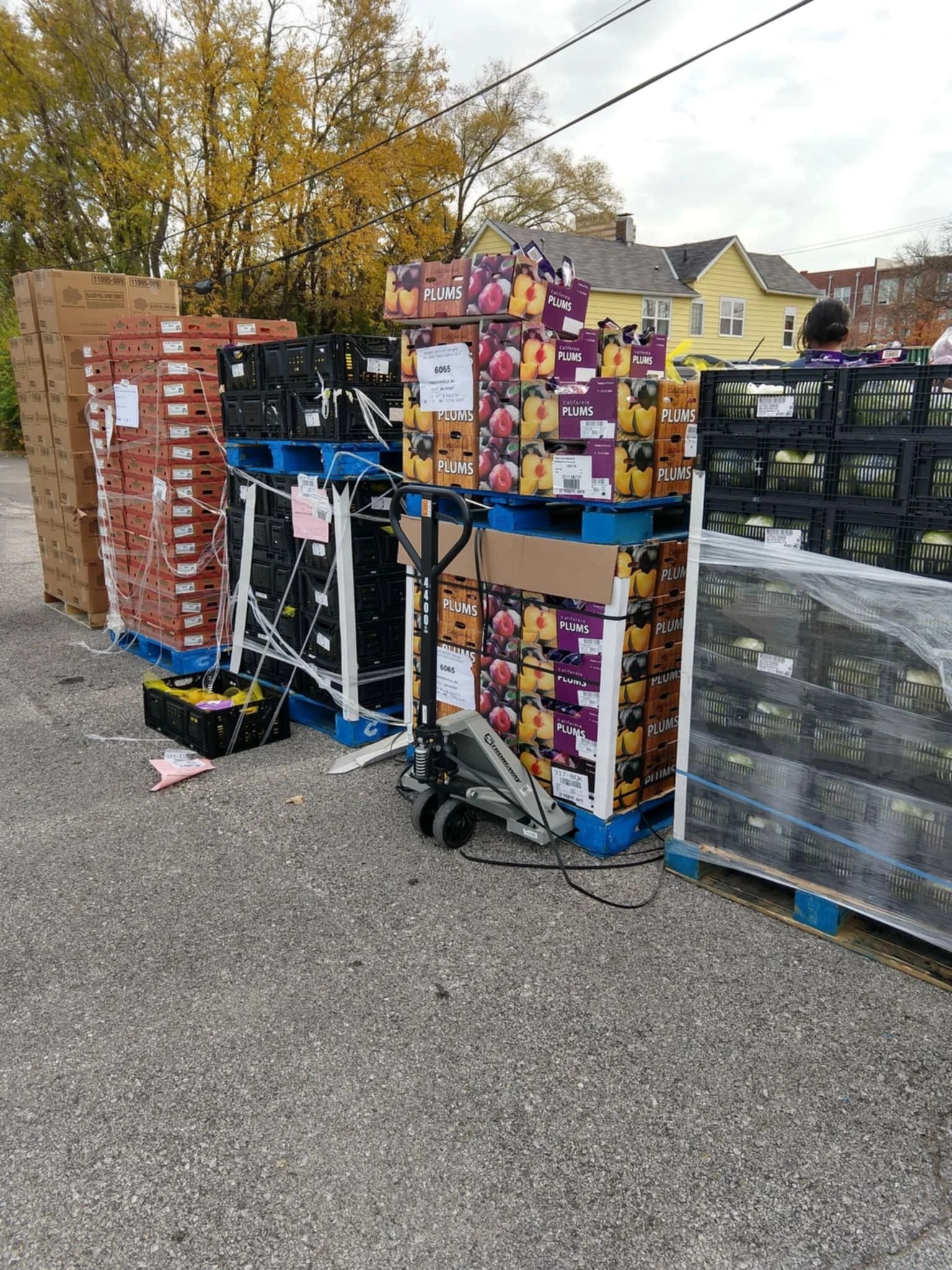 Community Food Support