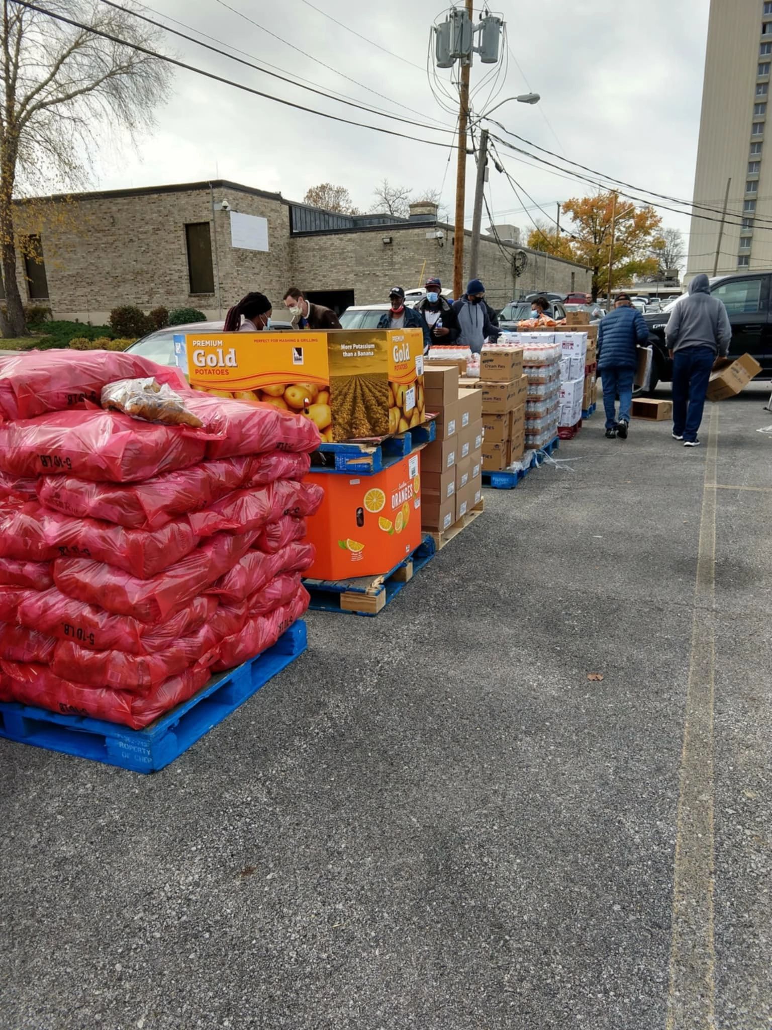 Community food distribution with premium gold potatoes